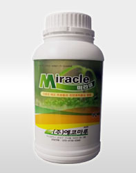 미라클(Miracle)