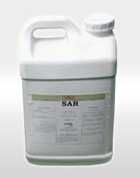 사르(SAR)