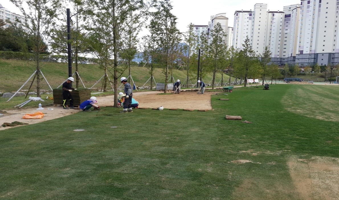 잔디보식