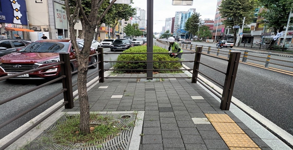 상수도사업본부 관목전정 중