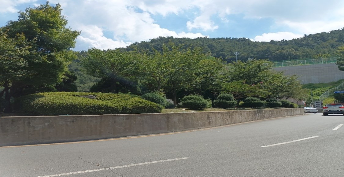 백양터널 관목전정 전1