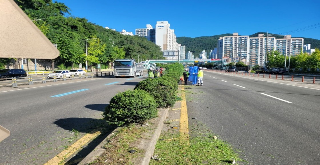 백양터널입구 관목전정 중