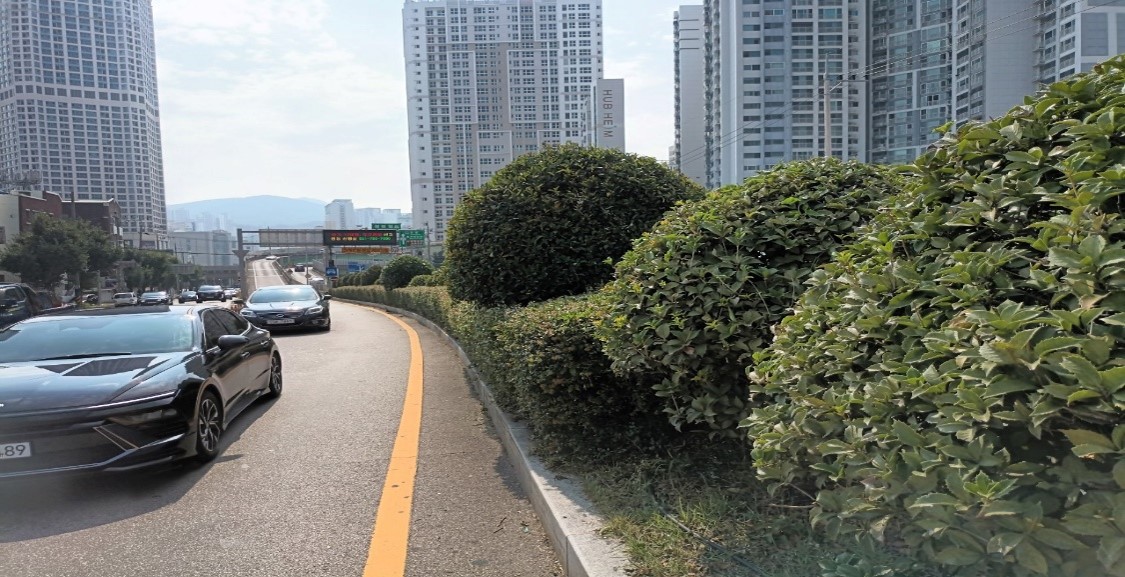 황령터널입구 관목전정 후