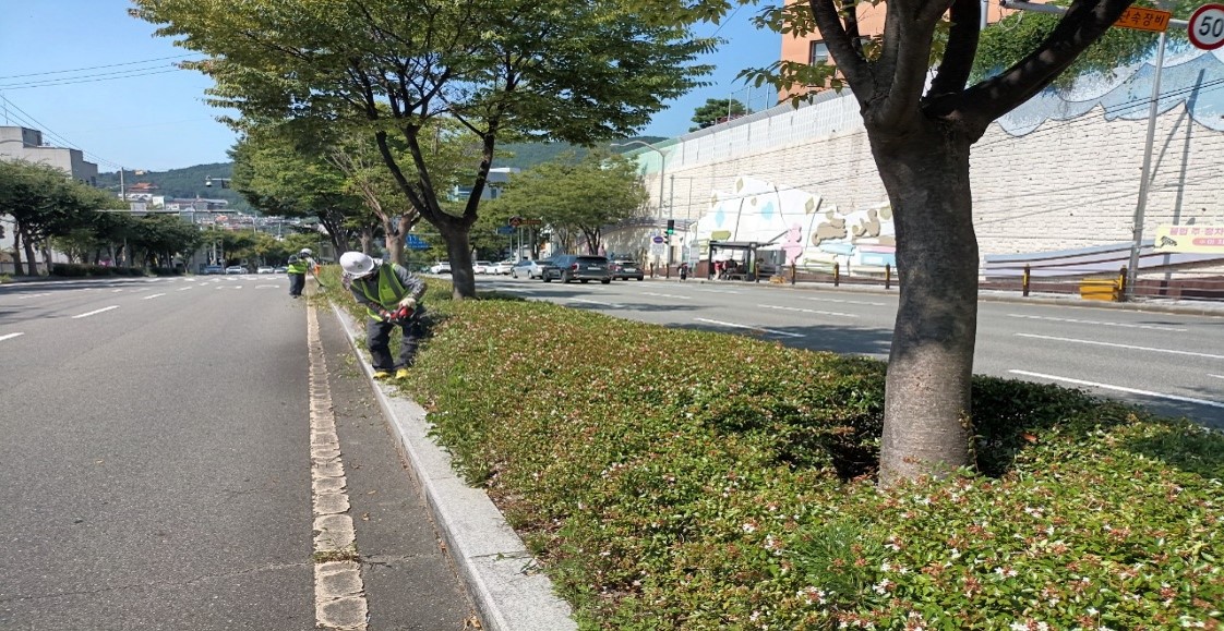 아시아드대로 관목전정 중