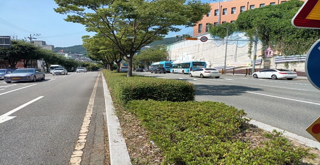 아시아드대로 관목전정 후