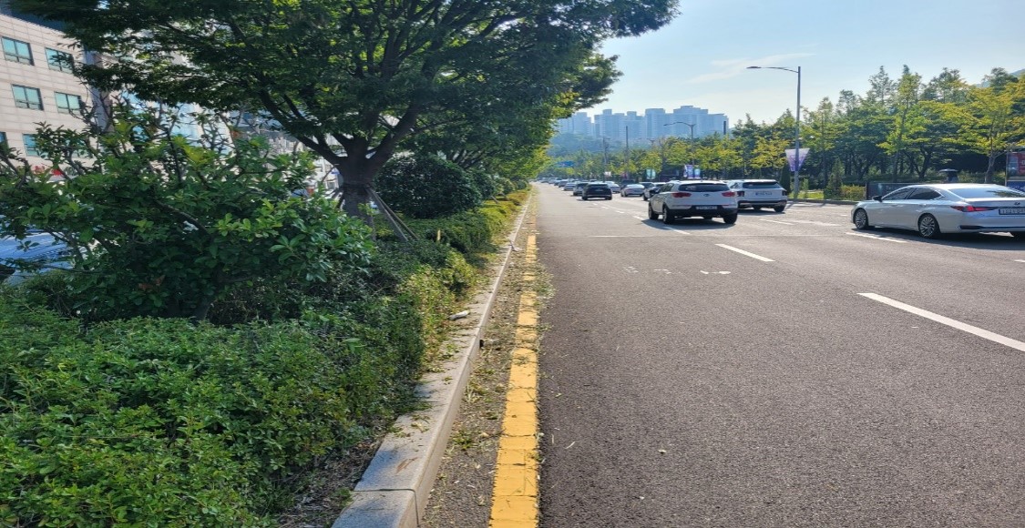 동평로 관목전정 후