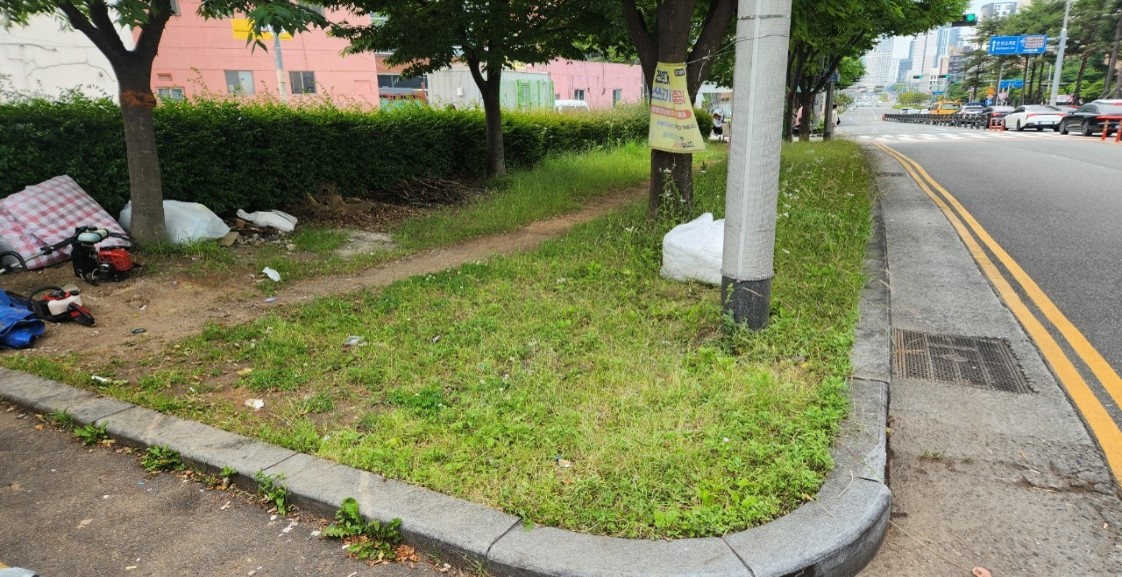 중앙대로 관목전정 전