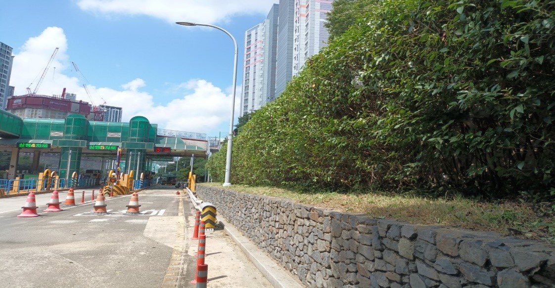 수정터널 관목전정 후1