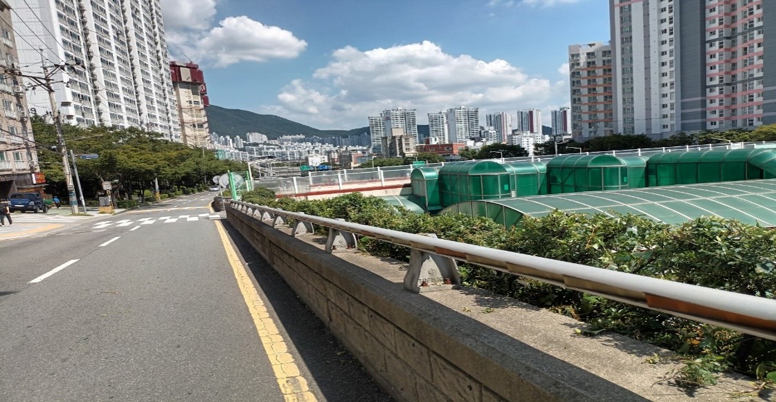 수정터널외곽 회차로 관목전정 후1