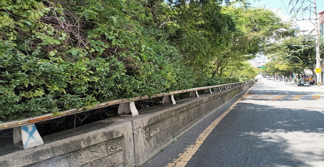 수정터널외곽 회차로 관목전정 후2