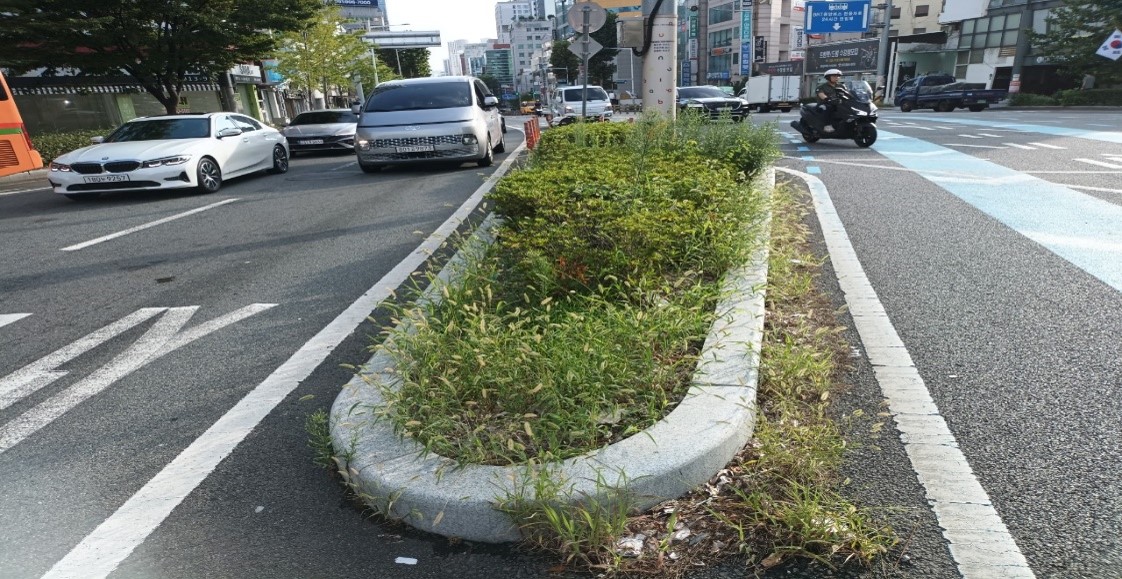 송상현광장-범내골 예초 및 제초 전