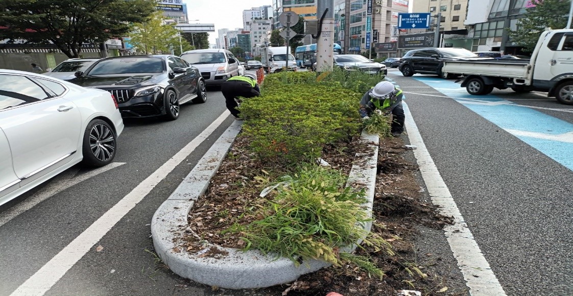 송상현광장-범내골 예초 및 제초 중