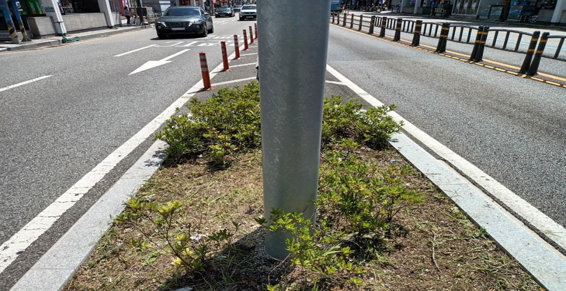 송상현광장-범내골 예초 및 제초 후1