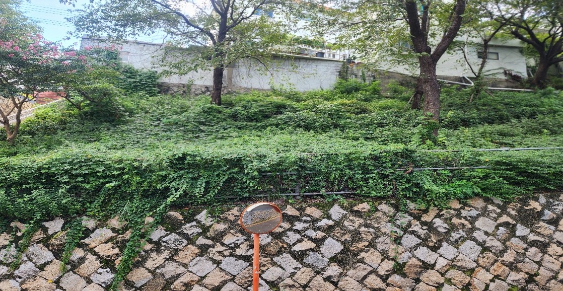 개금동 766-1 예초 및 제초 전