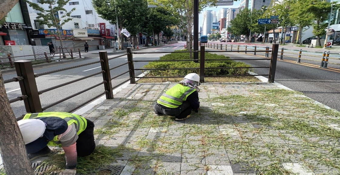 중앙시장 예초 및 제초 중