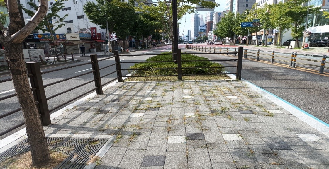 중앙시장 예초 및 제초 후