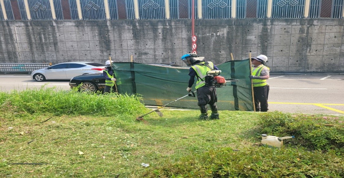 황령터널입구 예초 및 제초 중