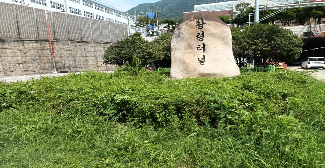 황령터널입구 예초 및 제초 전1