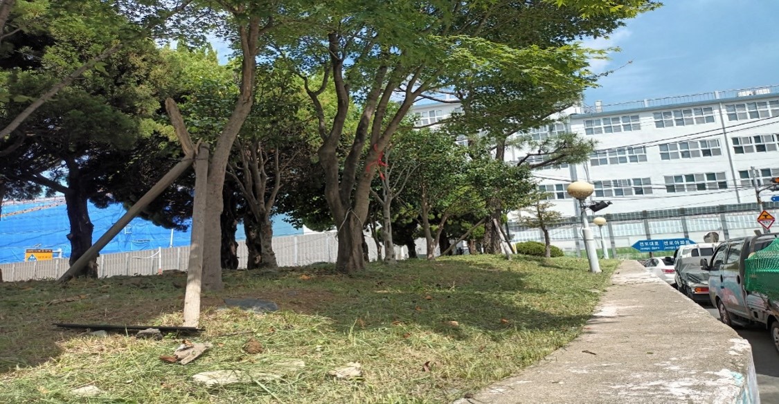 황령터널입구 예초 및 제초 후