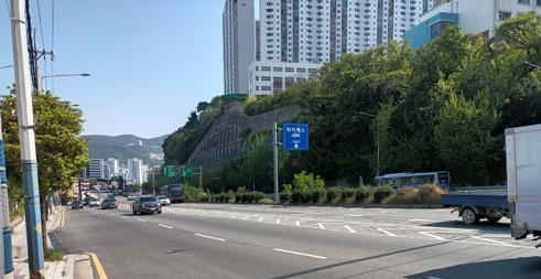 백양관문로 예초 및 제초 전