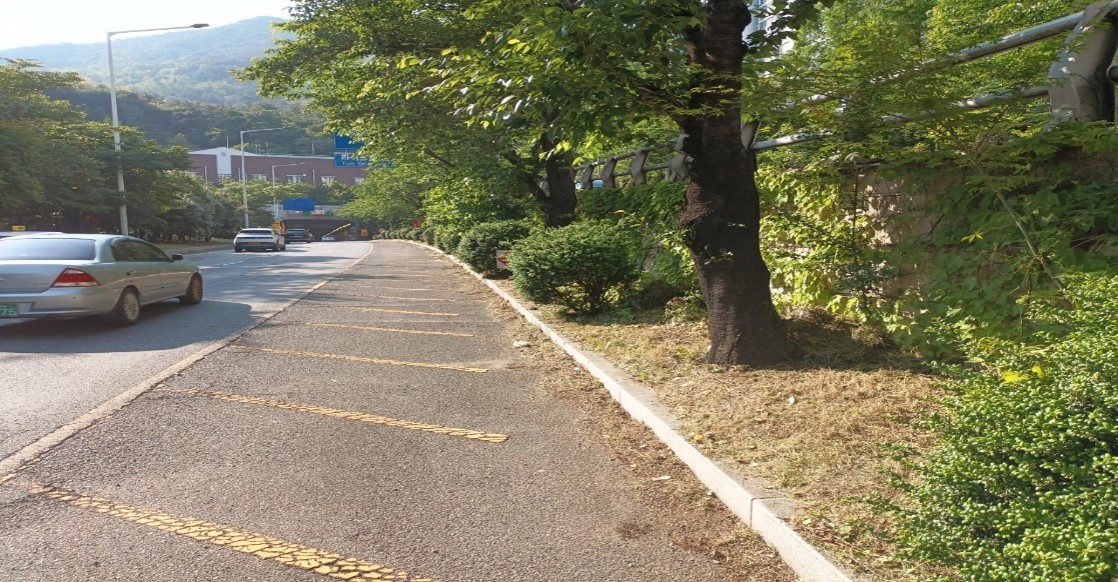 백양터널 예초 및 제초 후