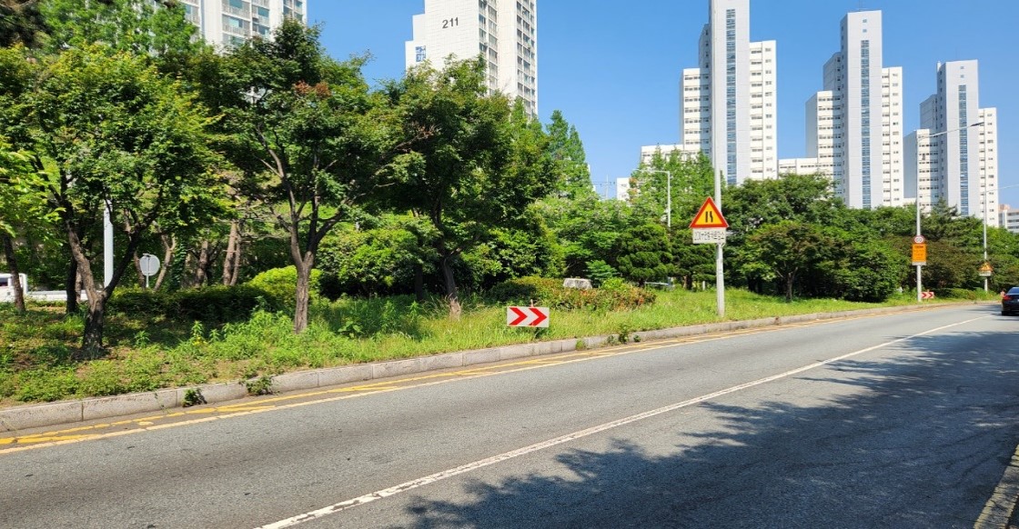 백양터널 예초 및 제초 전1