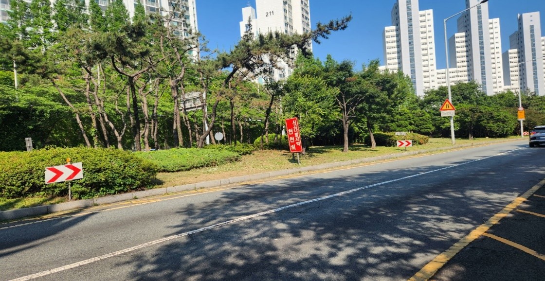 백양터널 예초 및 제초 후1