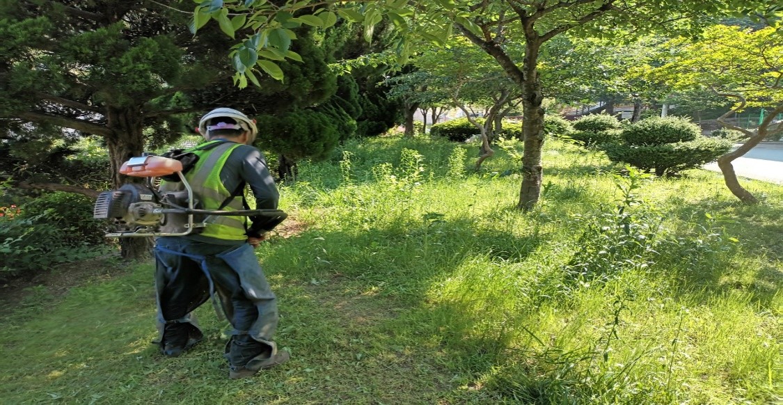 백양터널 예초 및 제초 중2