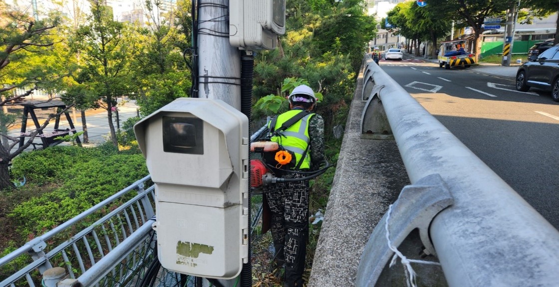 수정터널 예초 및 제초 중