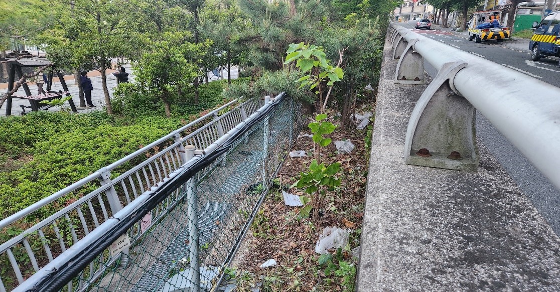 수정터널 예초 및 제초 후