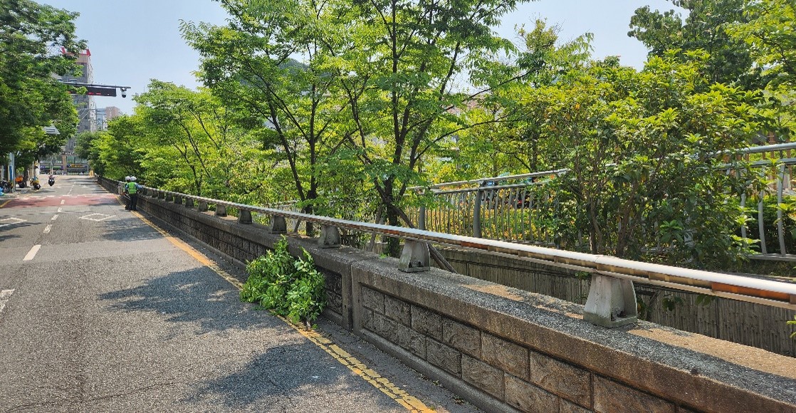 수정터널 가로수 약전정 중2