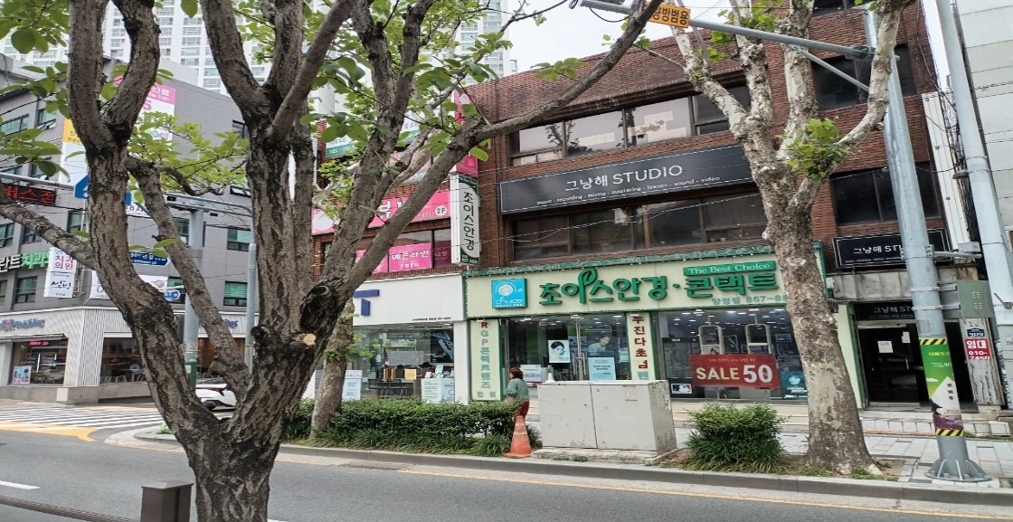 중앙대로 중분대 가로수 약전정 후