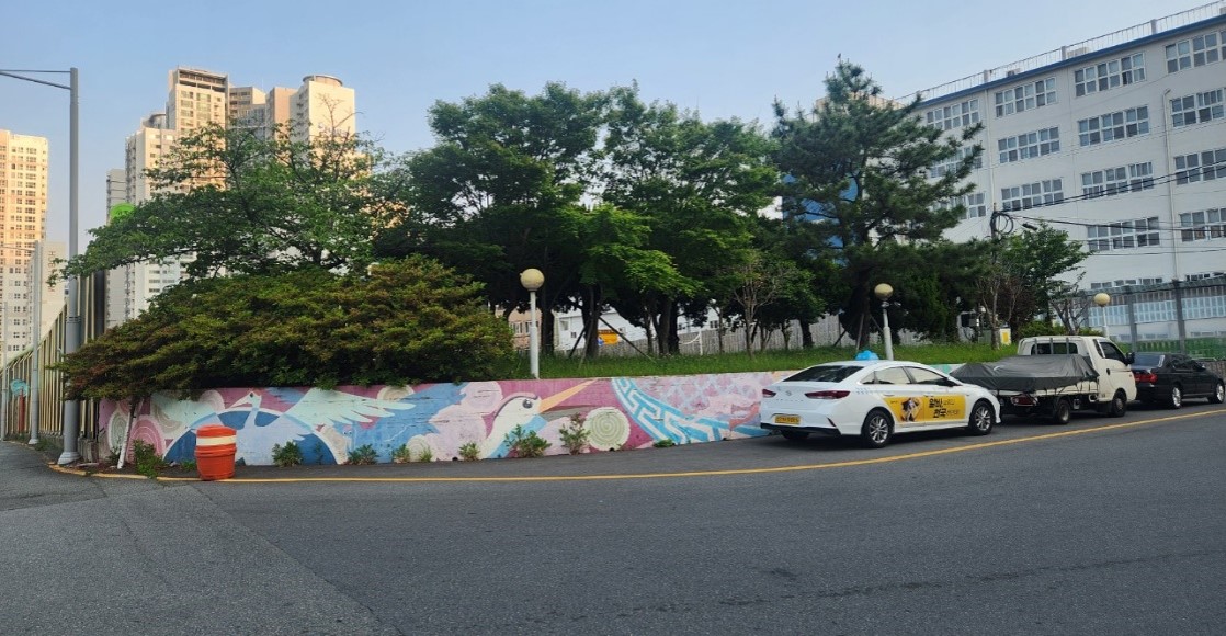 황령터널 회차로 가로수 약전정 전