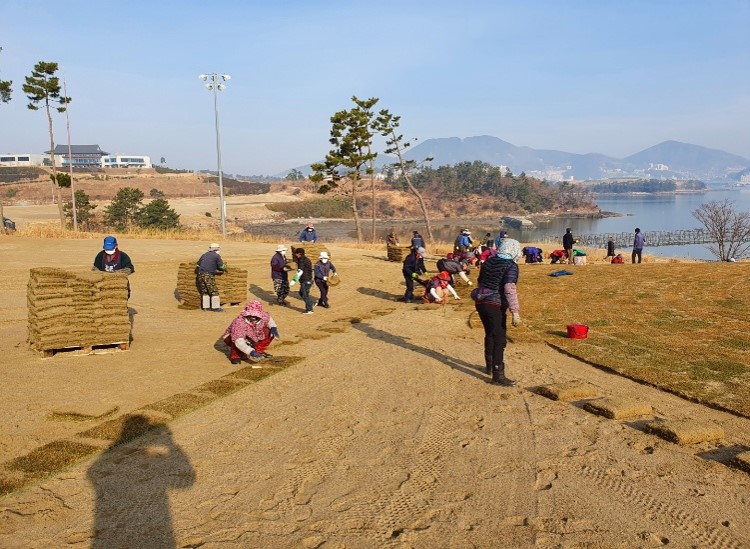 6. 잔디식재2