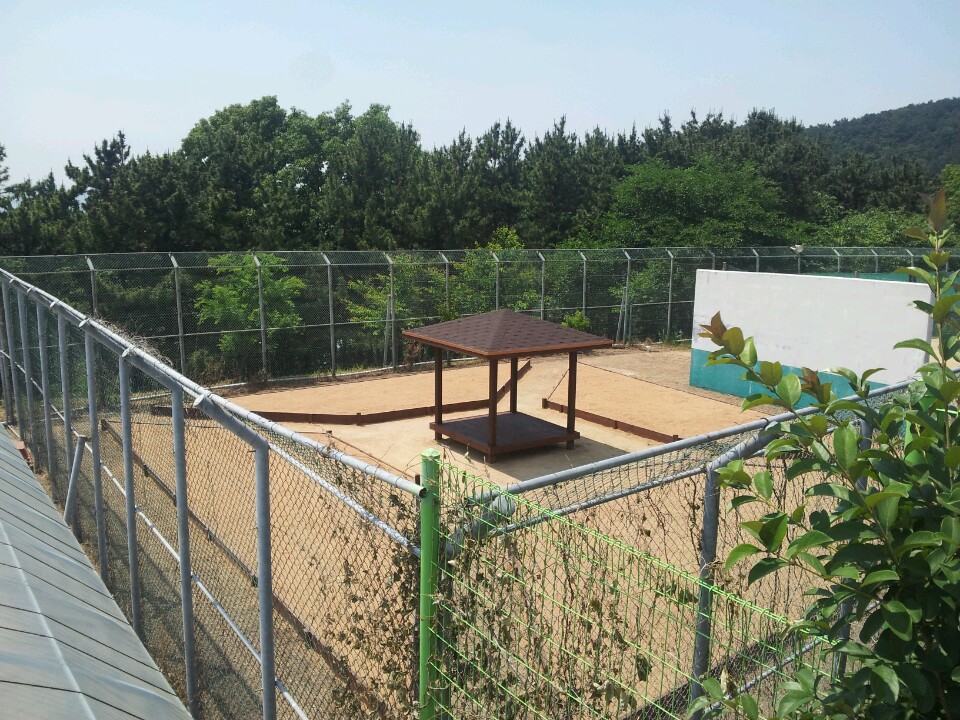  동아대 지상 텃밭 조성공사 