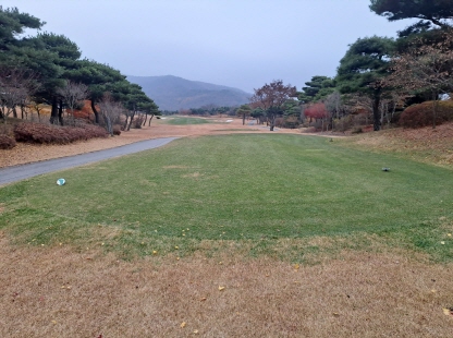작업중 (22)