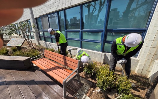 회양목 식재 중