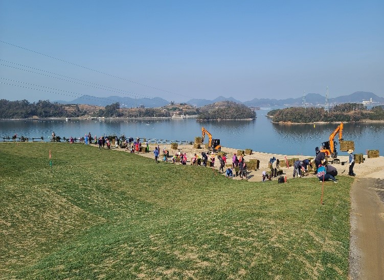 4. 잔디 식재1