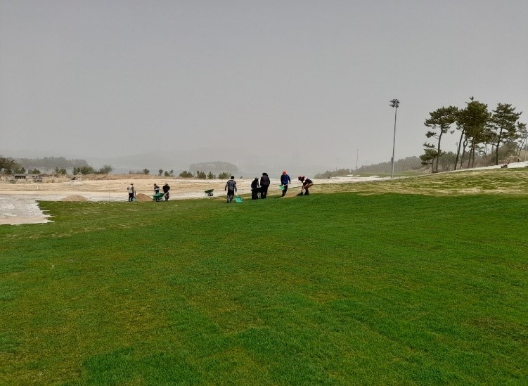4. 잔디 식재5