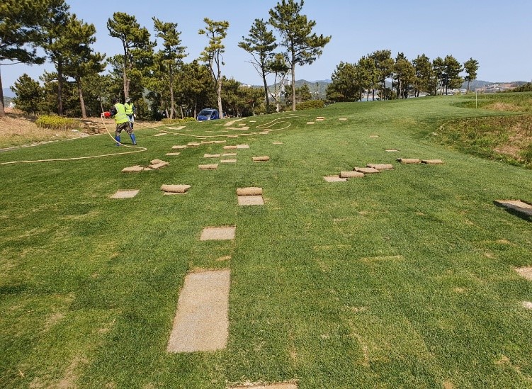 8. 불량 잔디 교체4