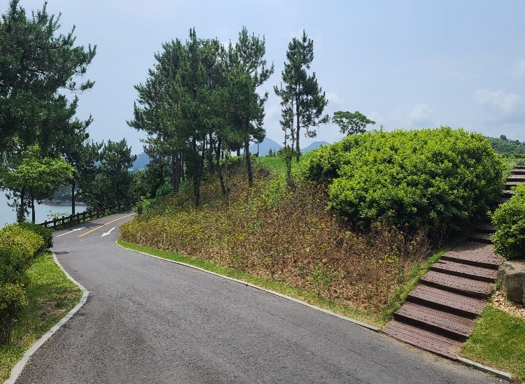 자산홍 식재 완료(2홀)
