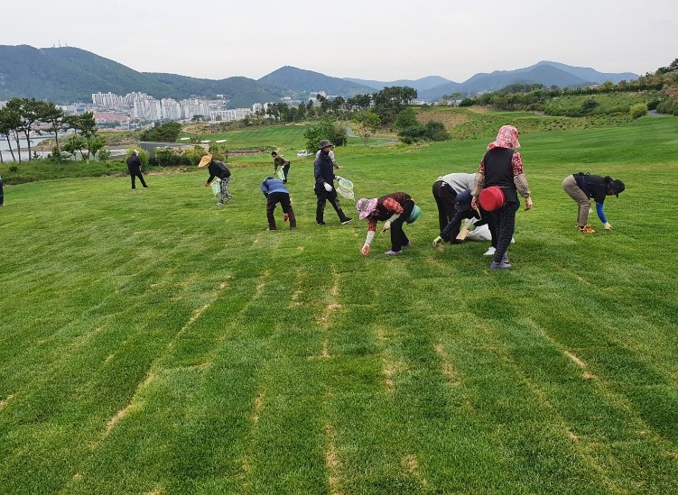 금오·돌산코스 이종잔디 교체 완료13