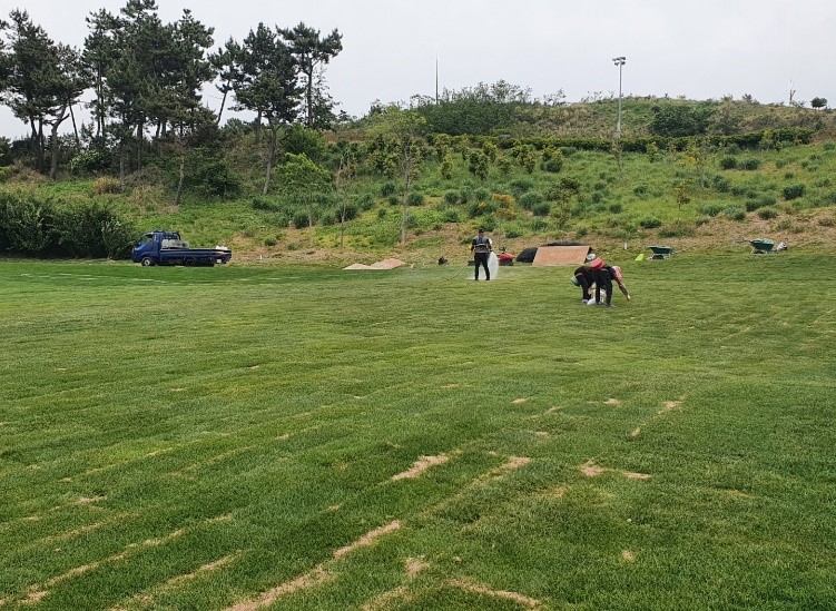 금오·돌산코스 이종잔디 교체 완료14