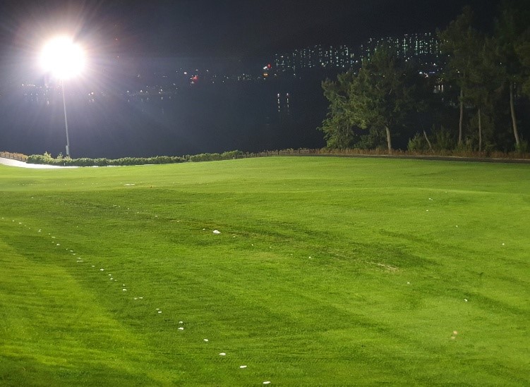 금오·돌산코스 이종잔디 교체 완료15