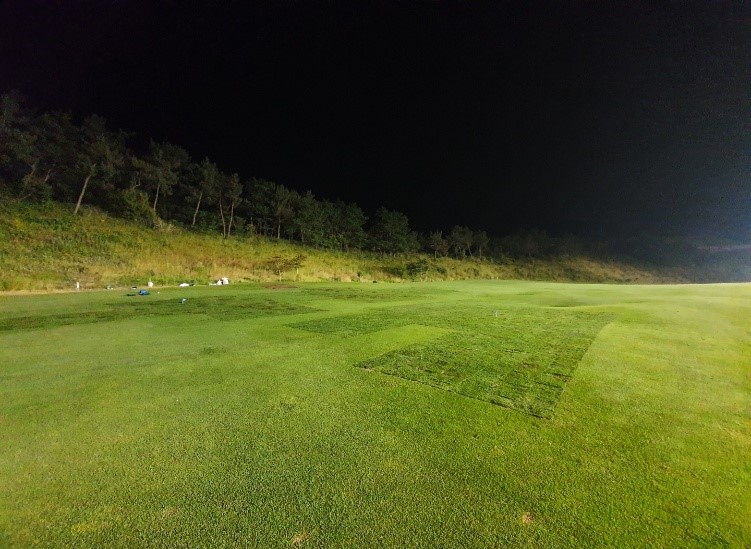 금오·돌산코스 이종잔디 교체 완료23