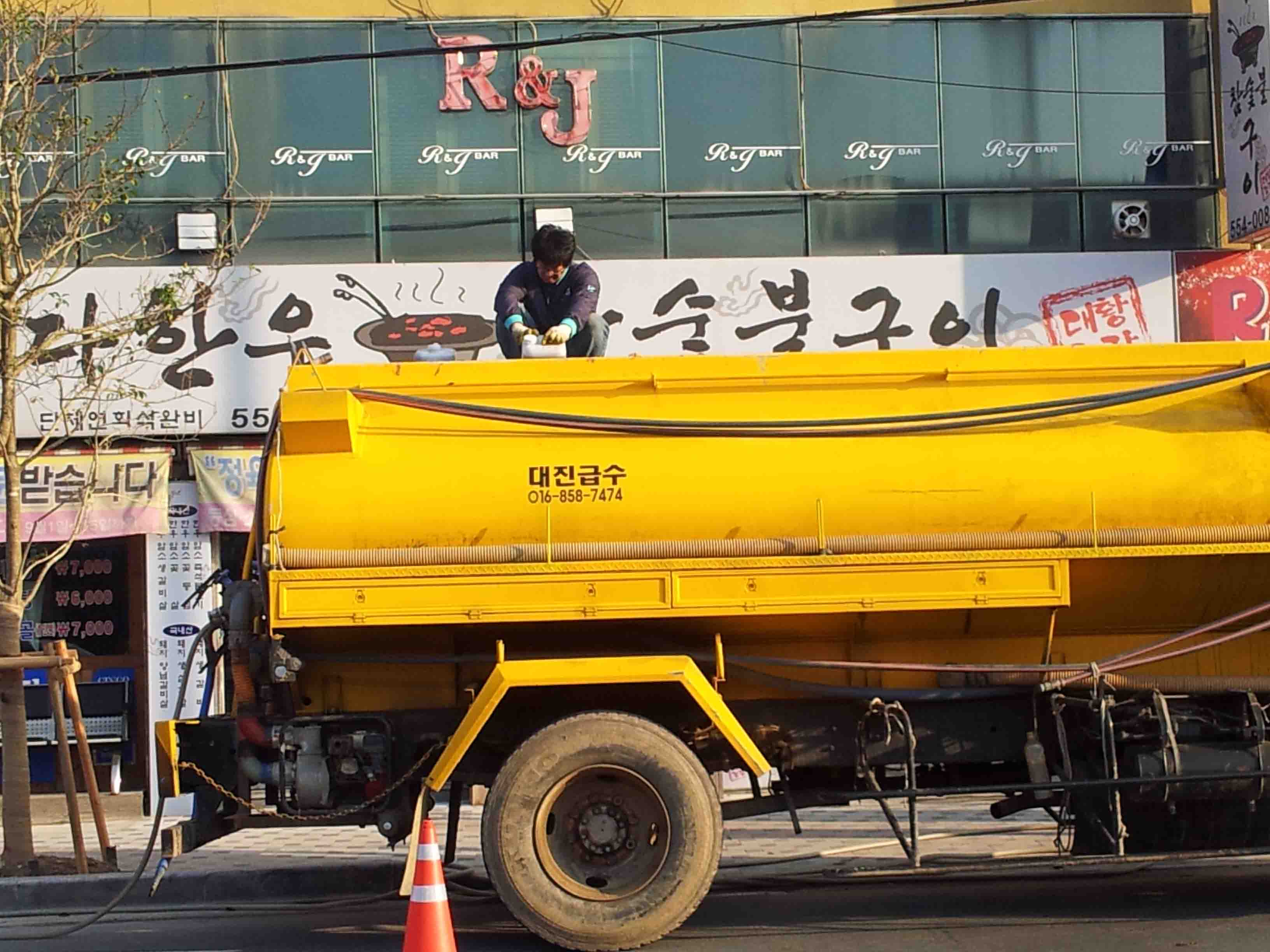 발근촉진제처리1