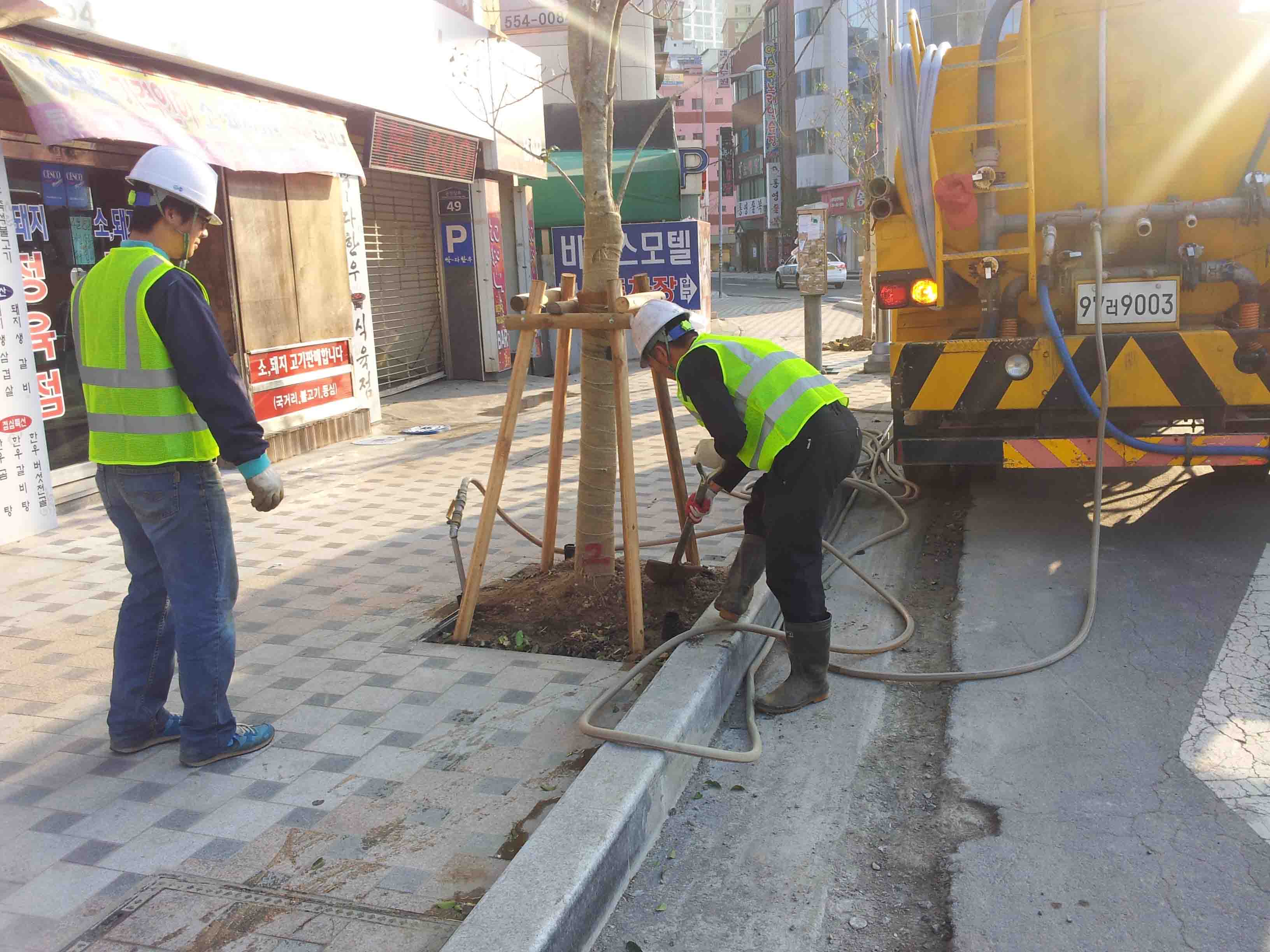 발근촉진제처리2