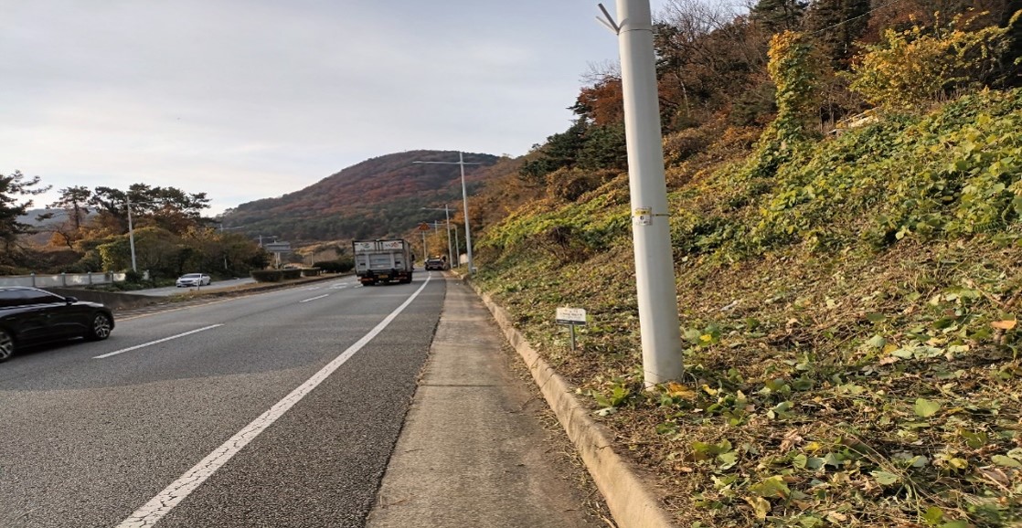 가덕터널진입도로 일원 천성ic 일원 예초 후