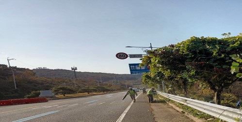 가덕터널진입도로 일원 천성ic 일원 예초 중1