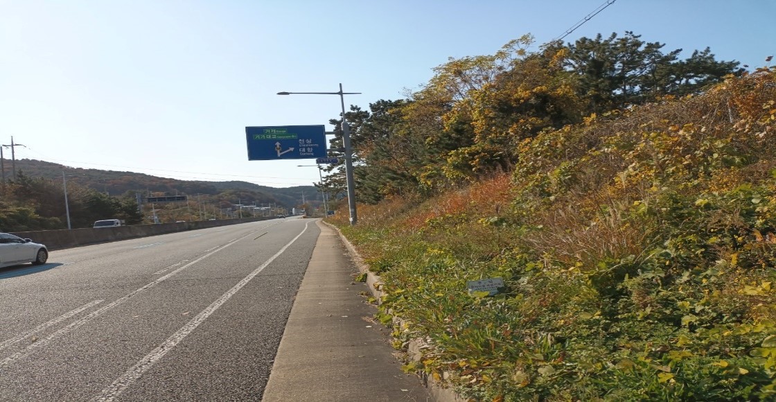 가덕터널진입도로 일원 천성ic 일원 예초 전2